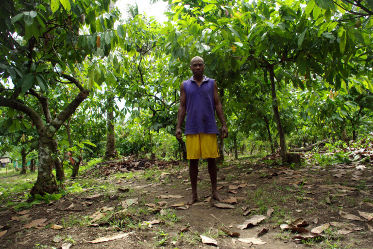 Portrait of cocoa farmer David Kebu Jnr at his farm east of Honiara.